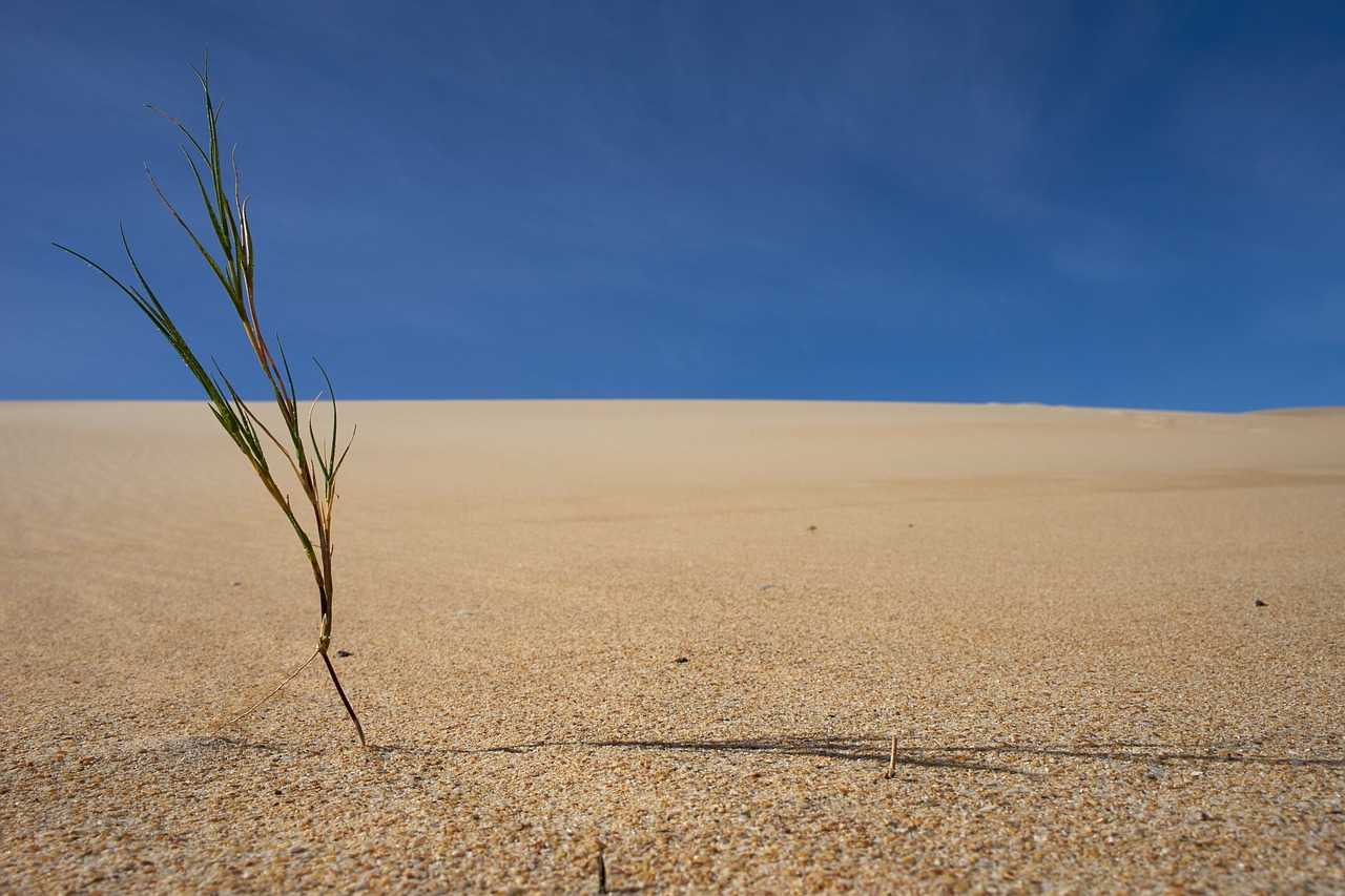 climate-change-endangered-species-impact-analysis