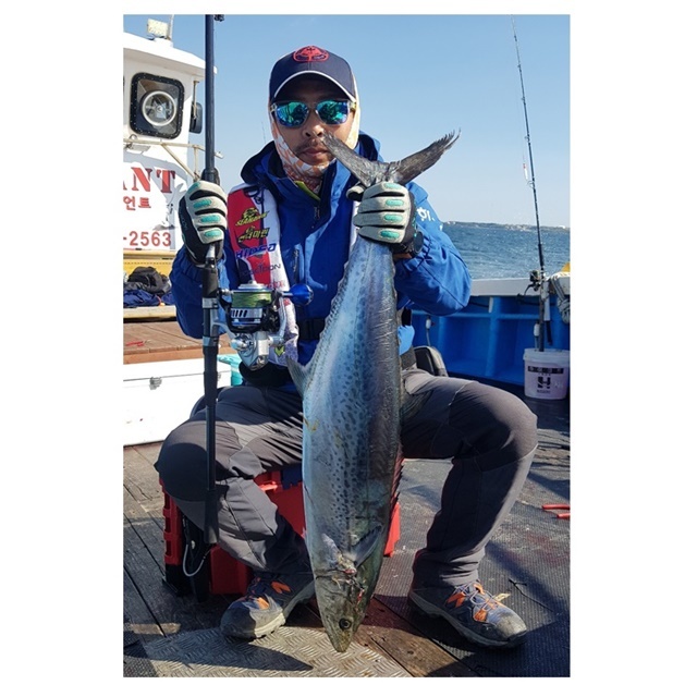 다이와프로슈터862