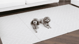 딩동펫 반려동물 미끄럼방지 매트