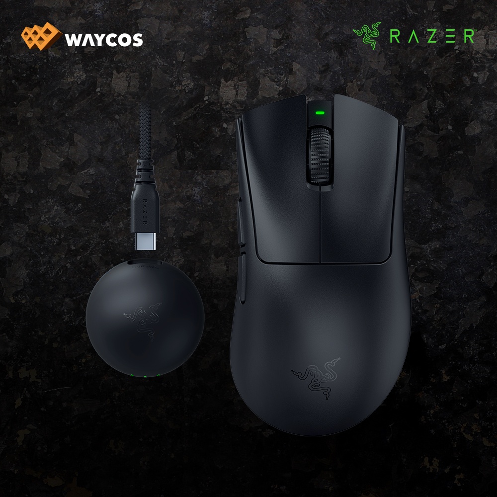 레이저코리아Raze