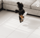 2026 최신 강아지 미끄럼방지 매트 추천 TOP 5 – 슬개골 탈구 예방 필수템