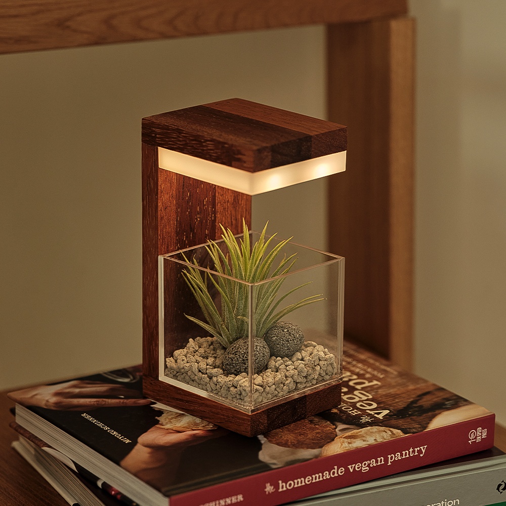 원목플랜테리어식물L