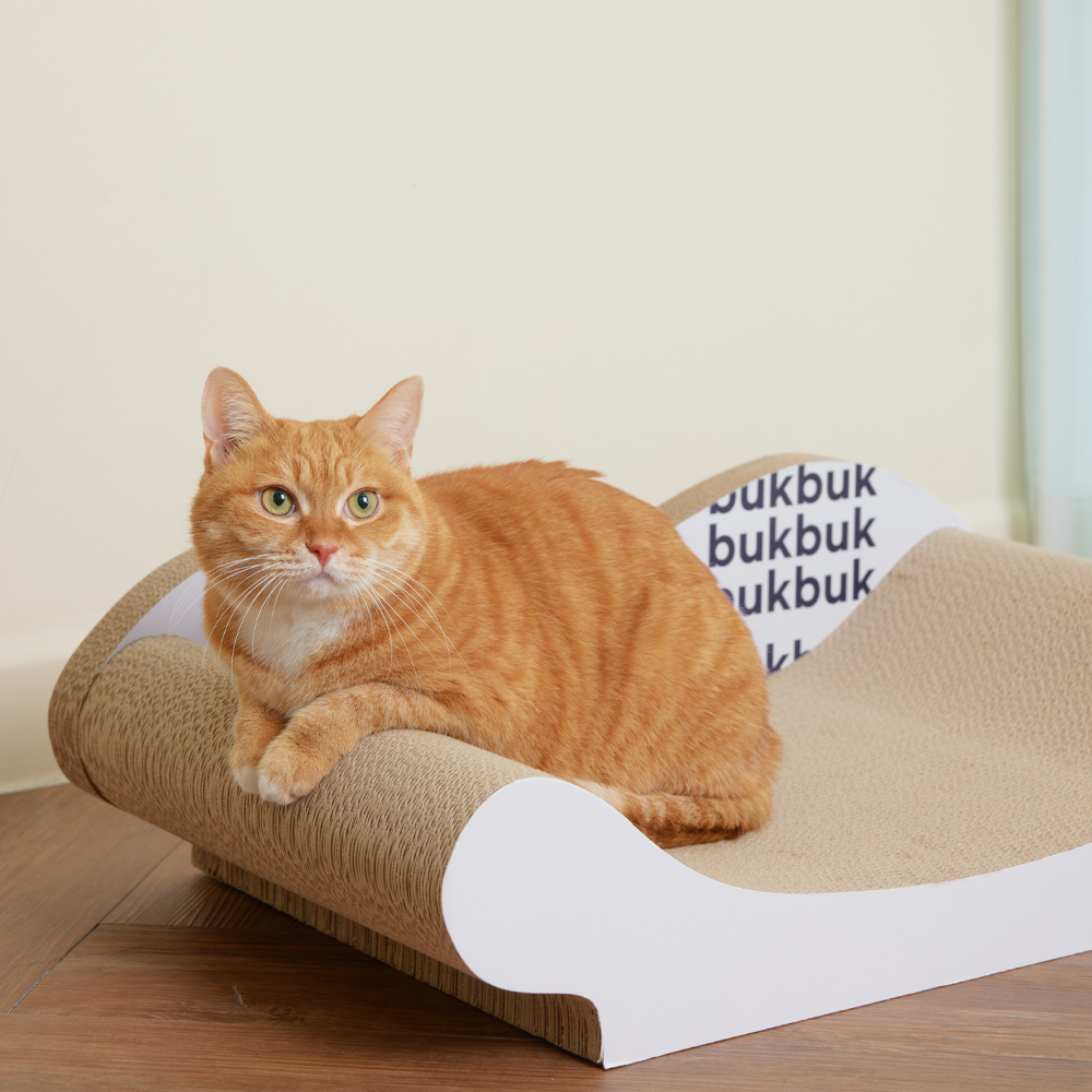 3651벅벅고강도소