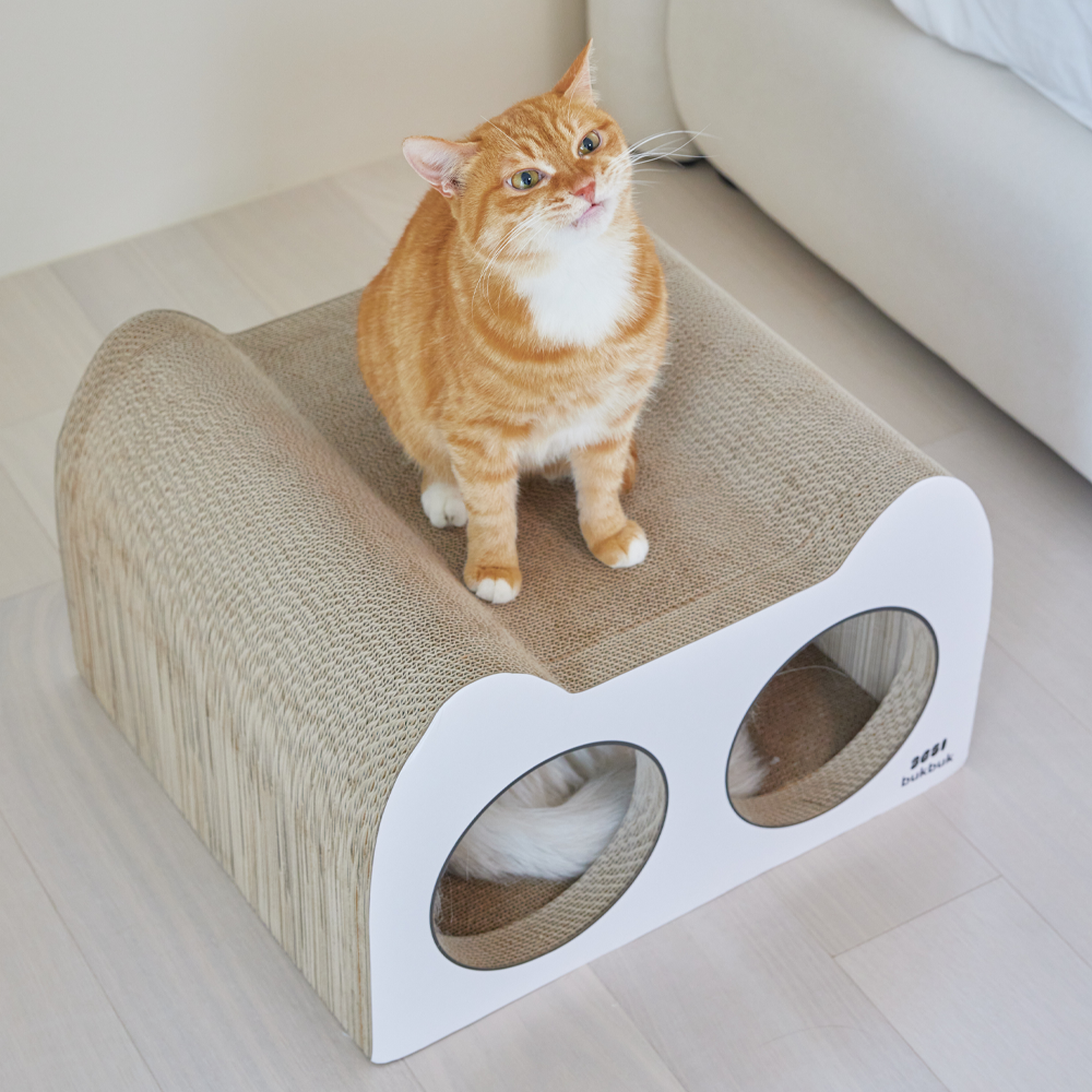 3651벅벅고강도숨