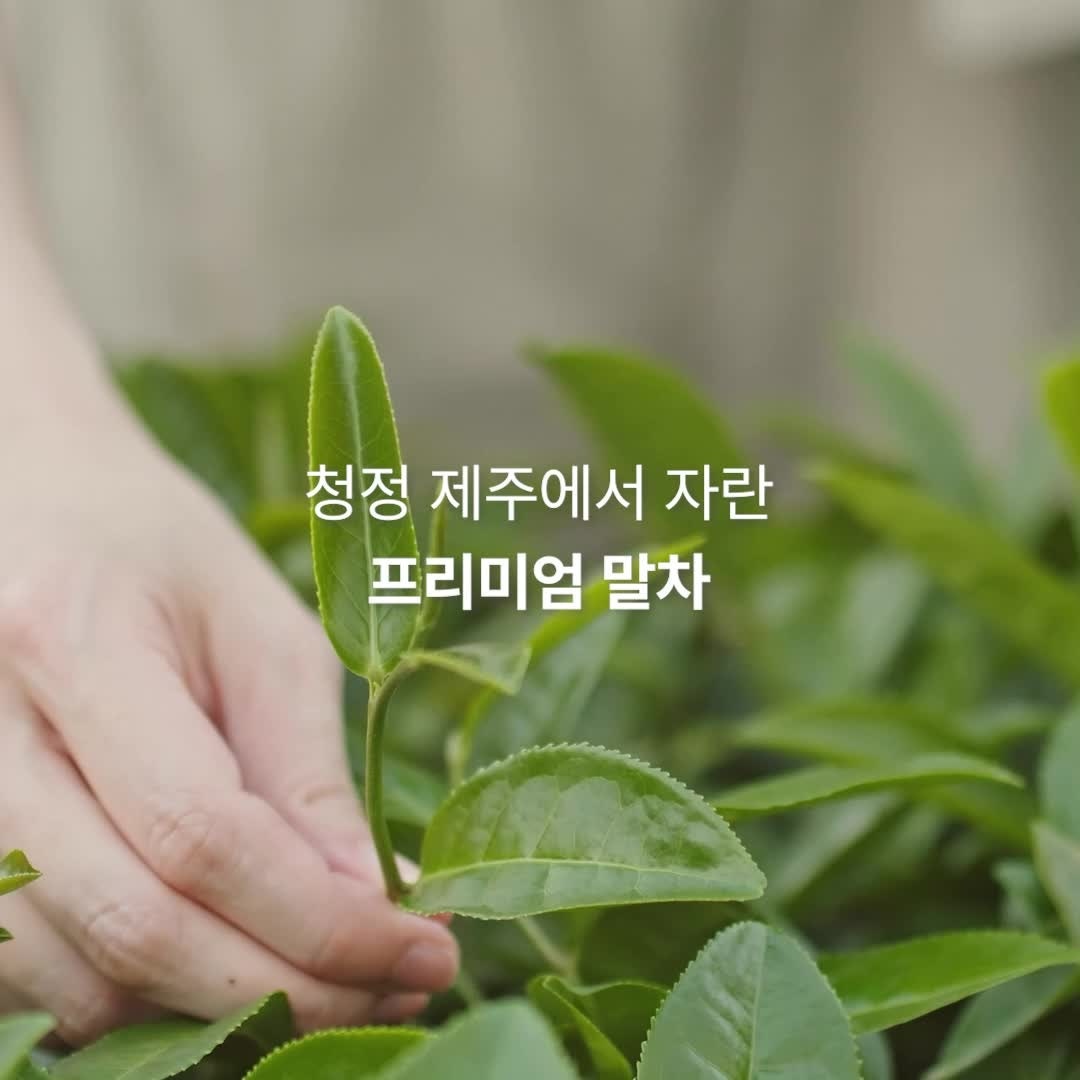 가루선생메이크라떼제