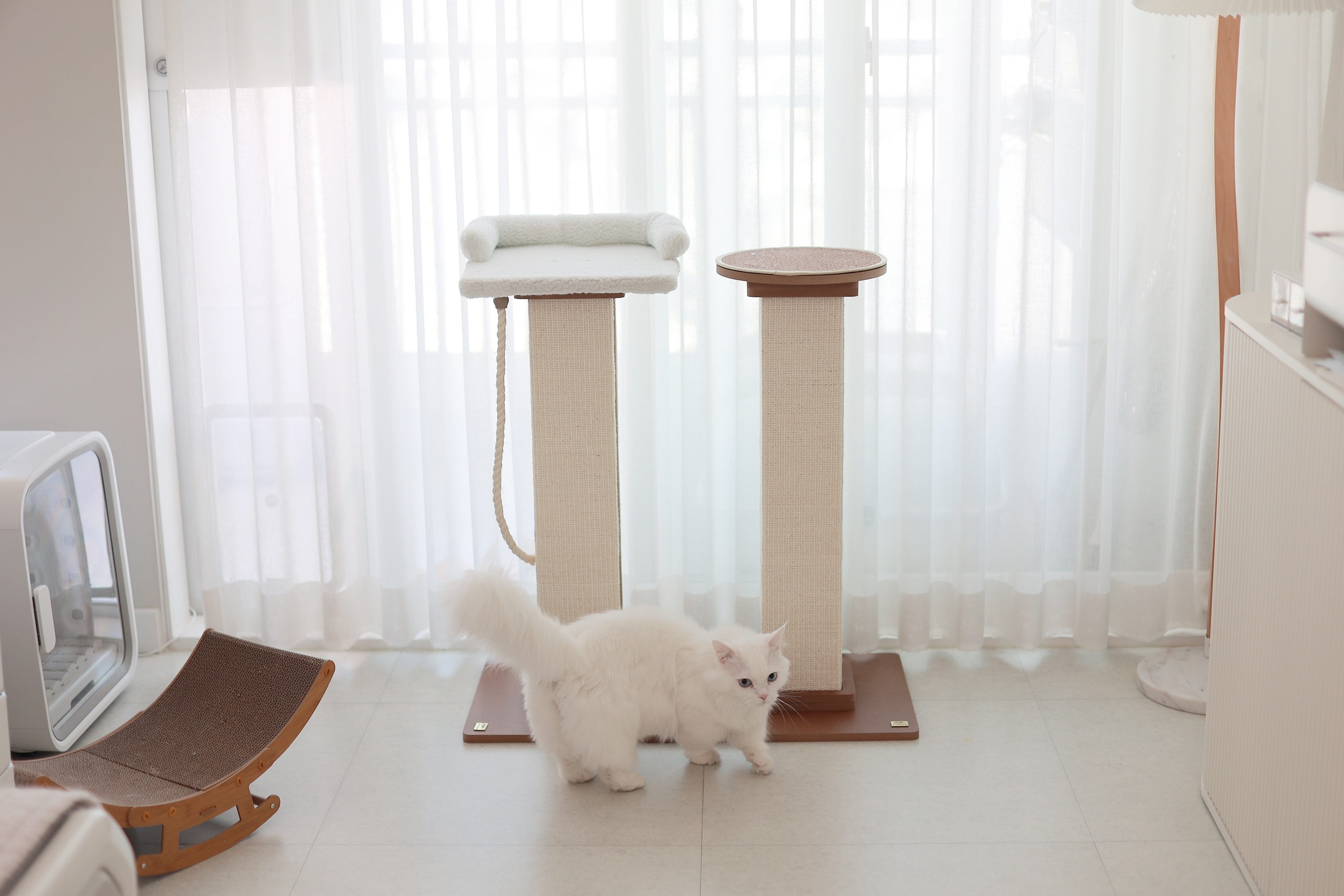 아토주파우제대형80