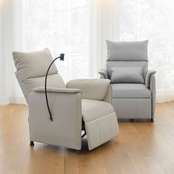 핏쳐1인용전동리클라