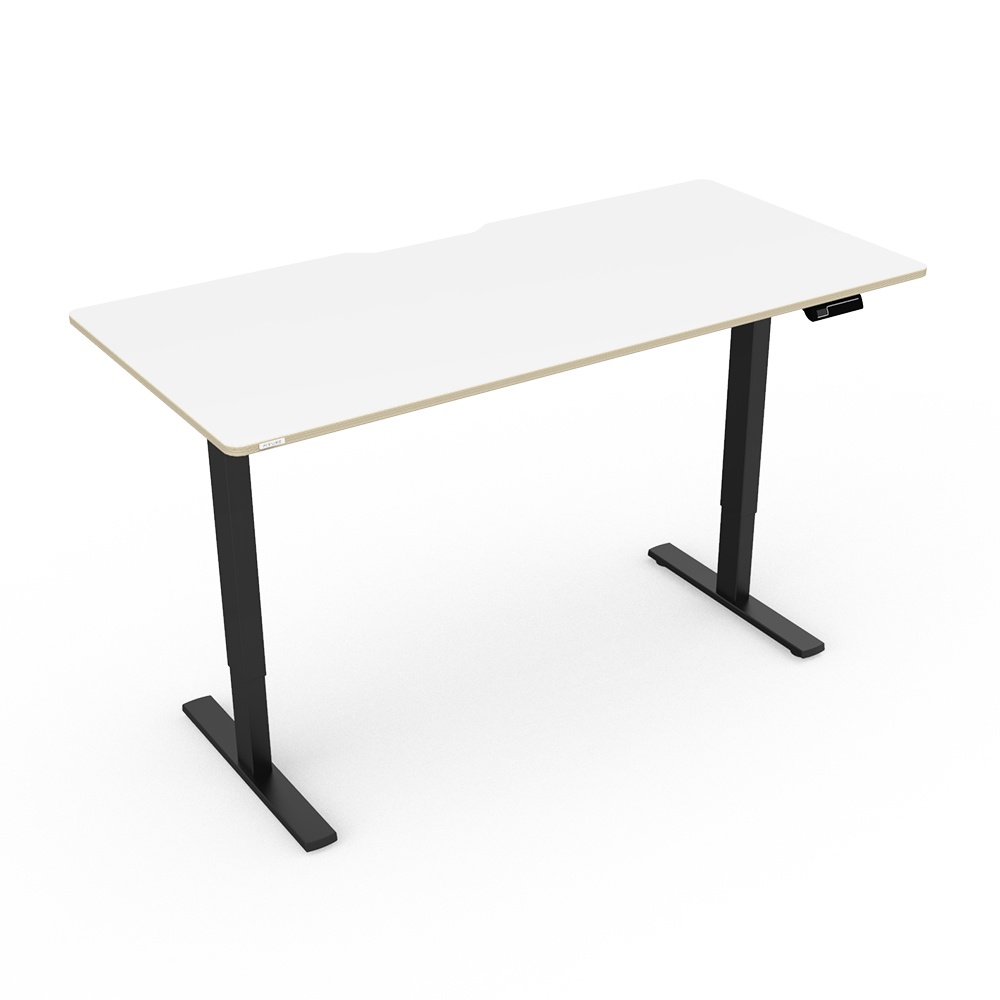 핏쳐전동식모션데스크