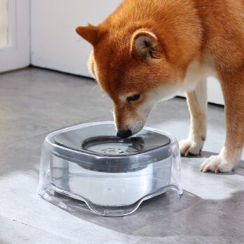 강아지 자동 급수기