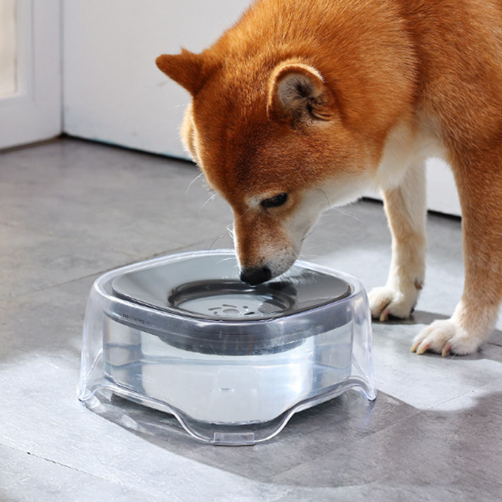 강아지 자동 급수기