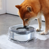 강아지 자동 급수기 BEST 5: 저소음 정수기부터 대용량 급수기까지